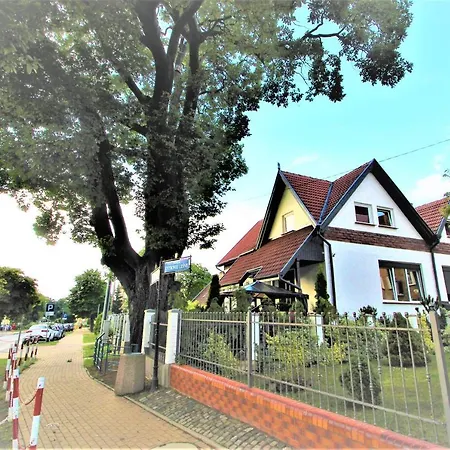 Zlota Regalinda & 3*